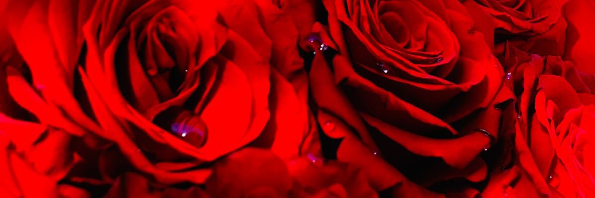 MassEzY's profile banner image