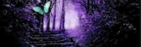 noAngel013's profile banner image