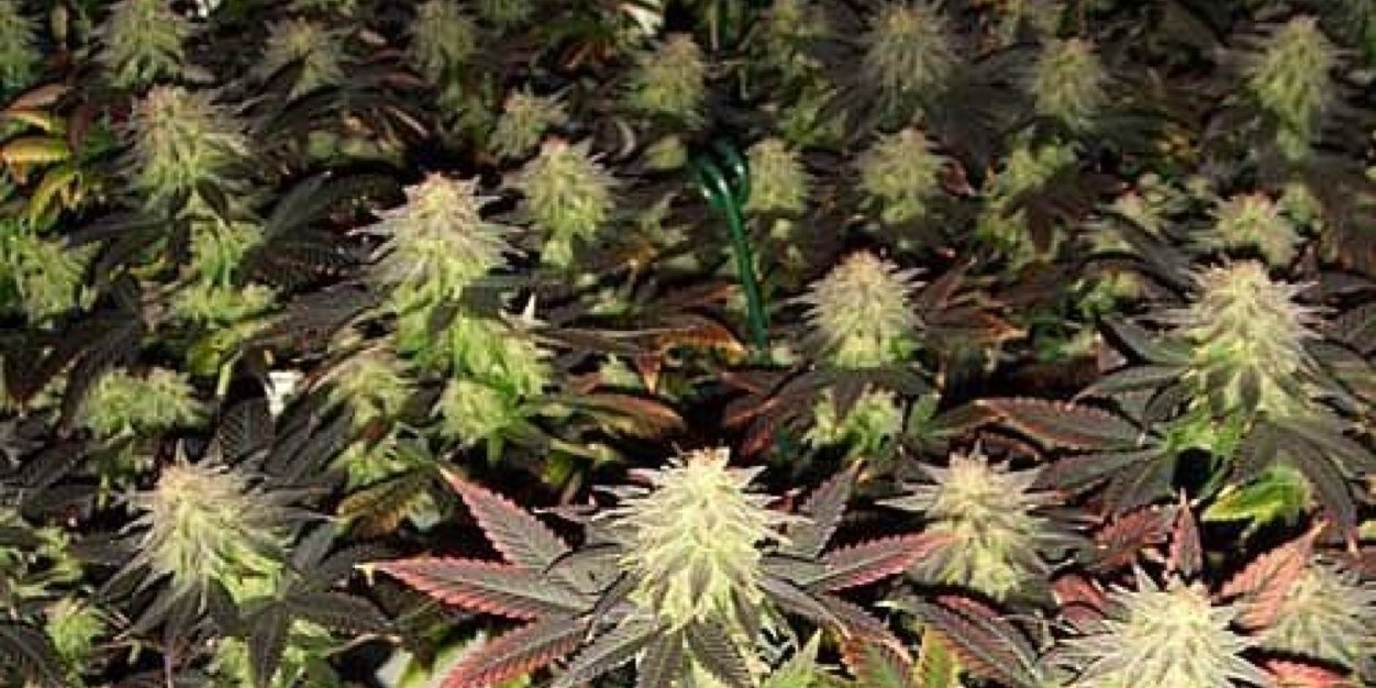STARRMAN420's profile banner image