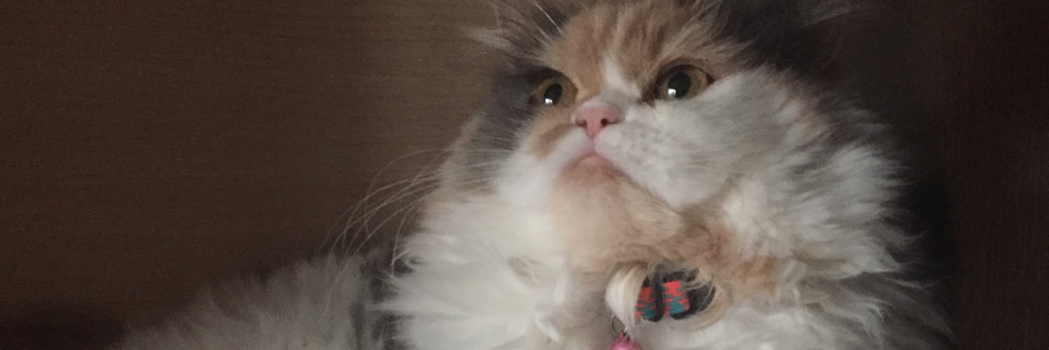 edadmrkle's profile banner image