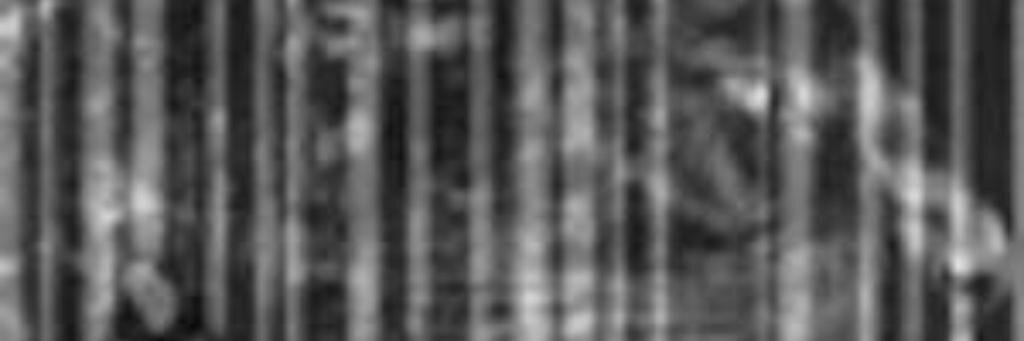 mansan_man's profile banner image