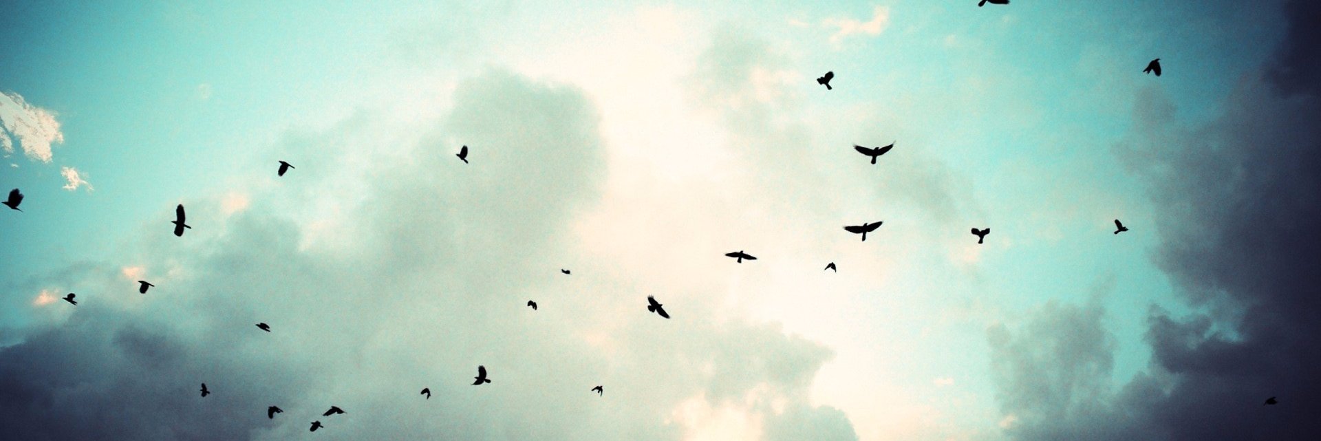 yeni1not's profile banner image