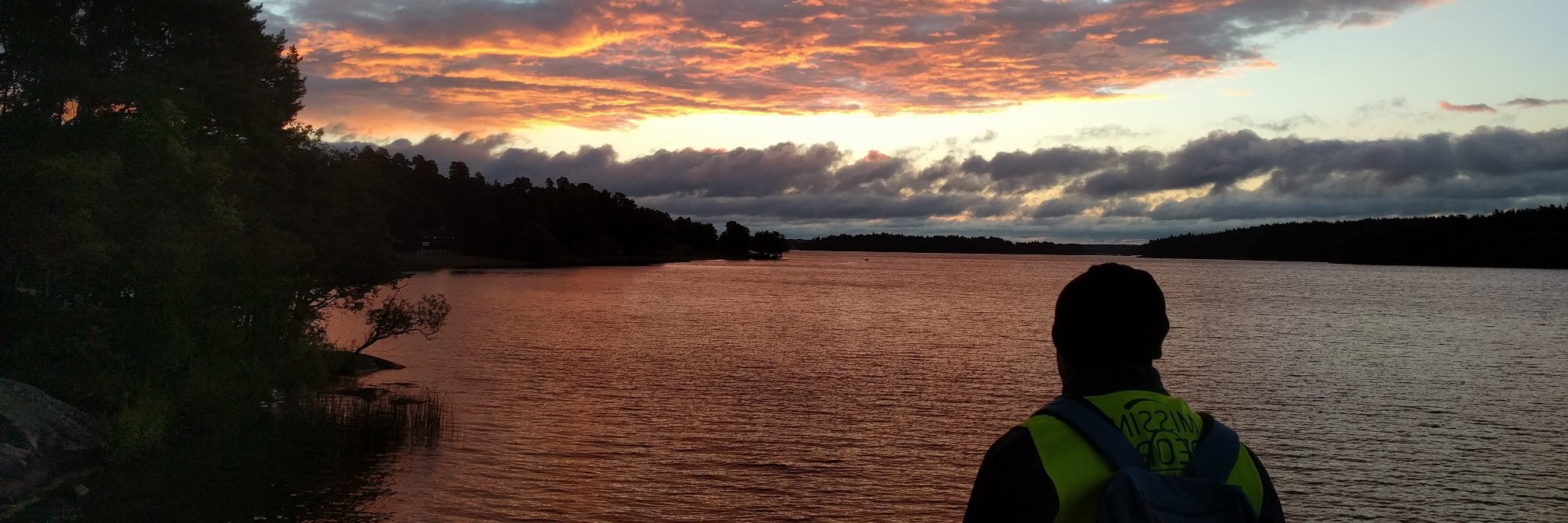 Calle Svensson banner