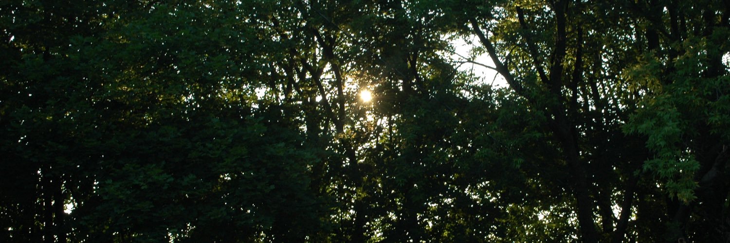 DestoBandz's profile banner image