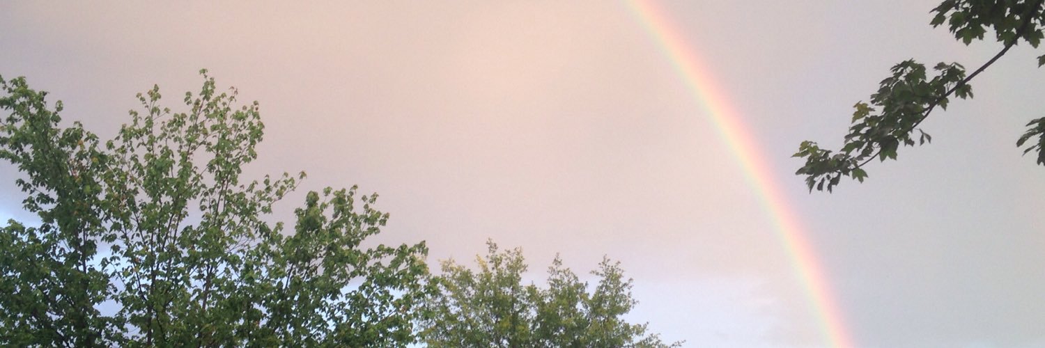 RobinKMcDaniel's profile banner image