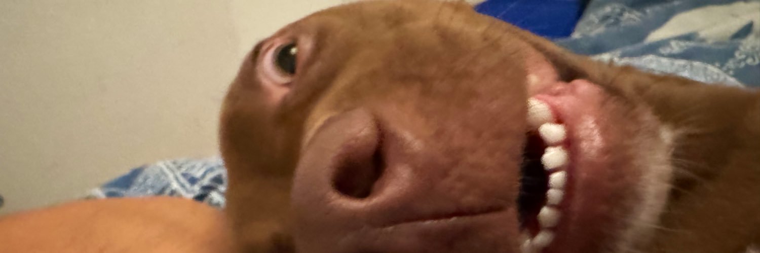 florchurz's profile banner image