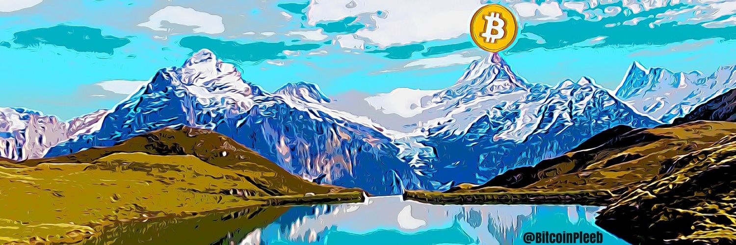 BitcoinPleeb's profile banner image