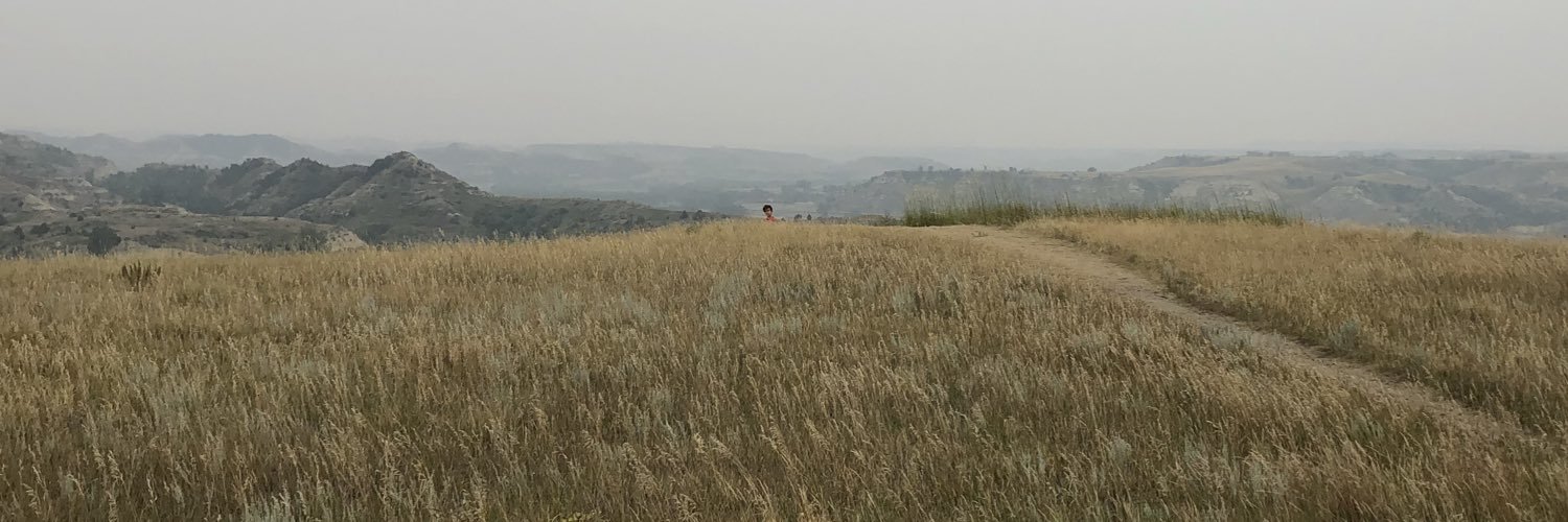 Tim Sexton banner