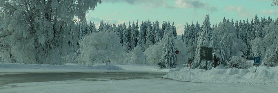 KorinaTzo's profile banner image