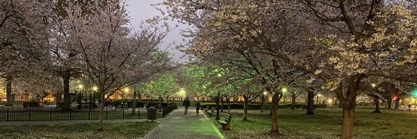 ThomasRungeMD Profile Banner