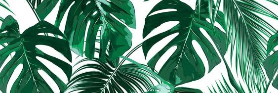 Anxels_krt's profile banner image