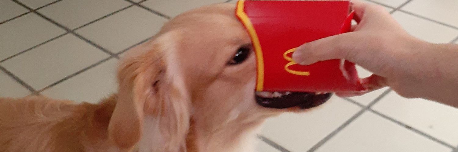 KithKet's profile banner image
