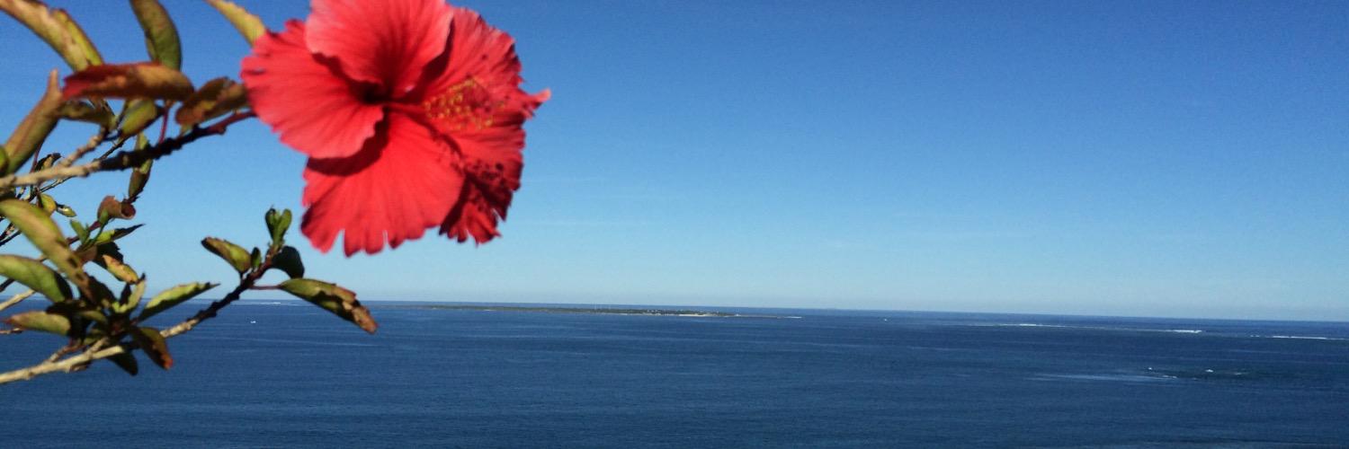 FLOWERINON's profile banner image