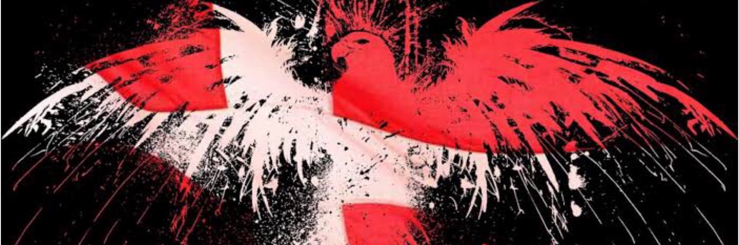 AnlezarckNeens's profile banner image