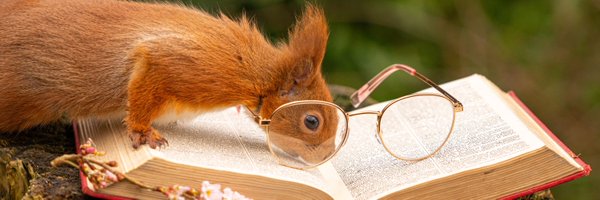 Siennaeva11 Profile Banner