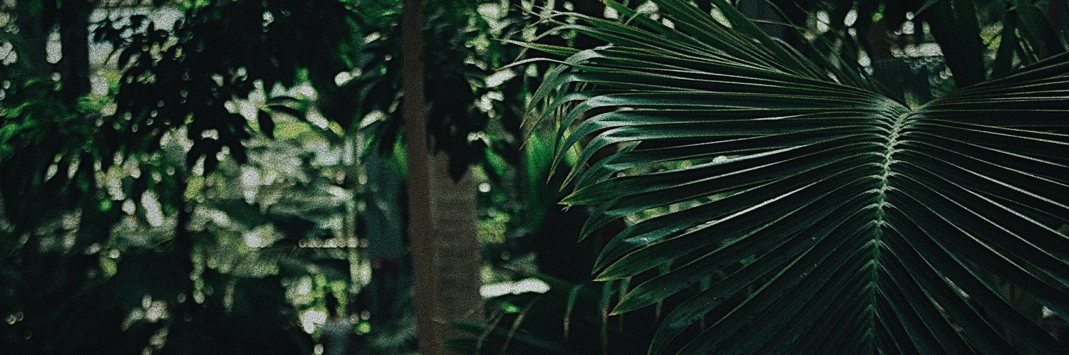cloudyyoons's profile banner image