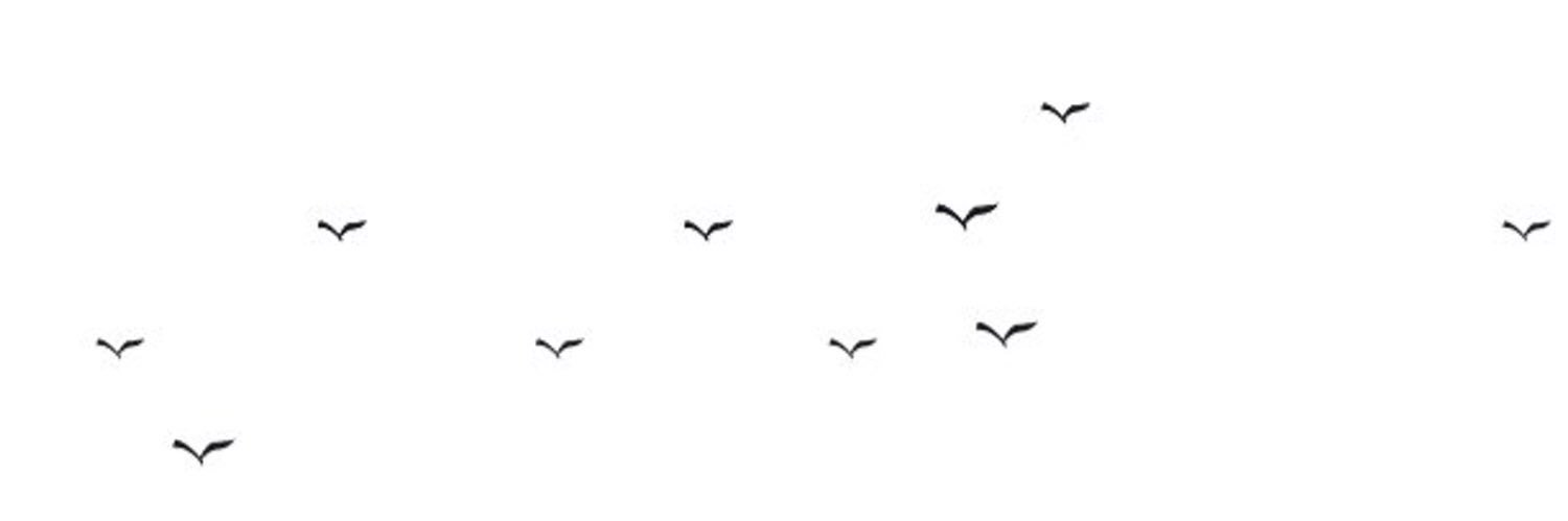 eng_e_ms's profile banner image