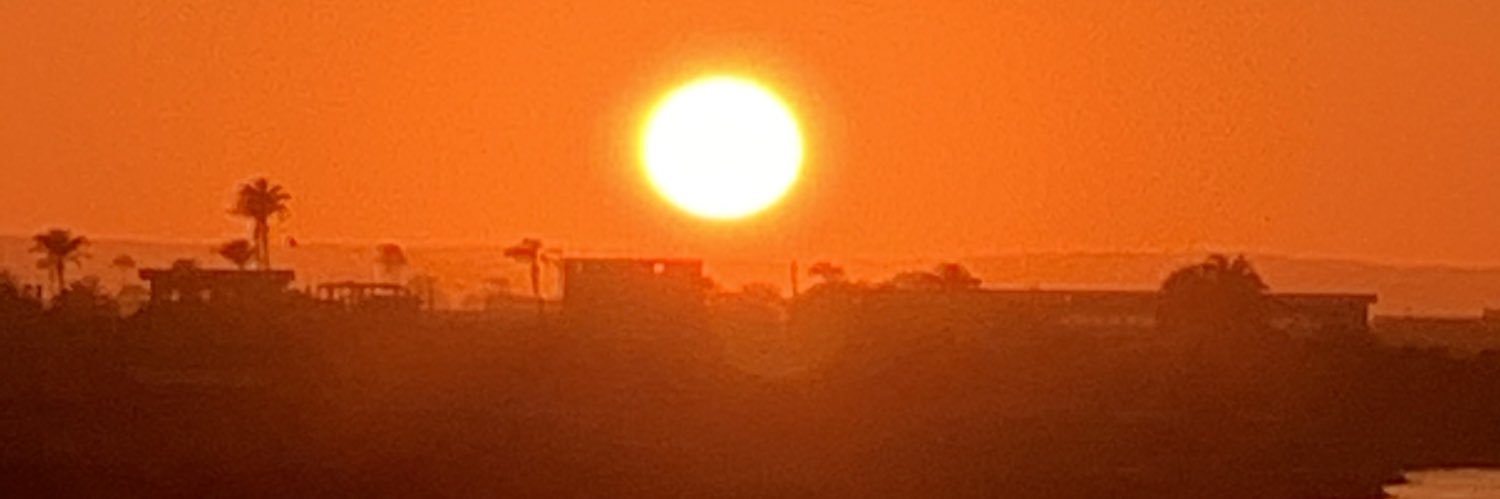 RBerrini's profile banner image