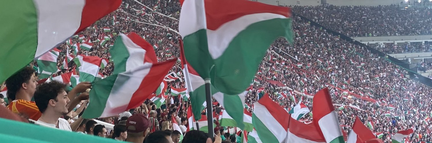 carolinaffc's profile banner image
