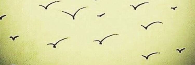 TurkbenTezcan's profile banner image