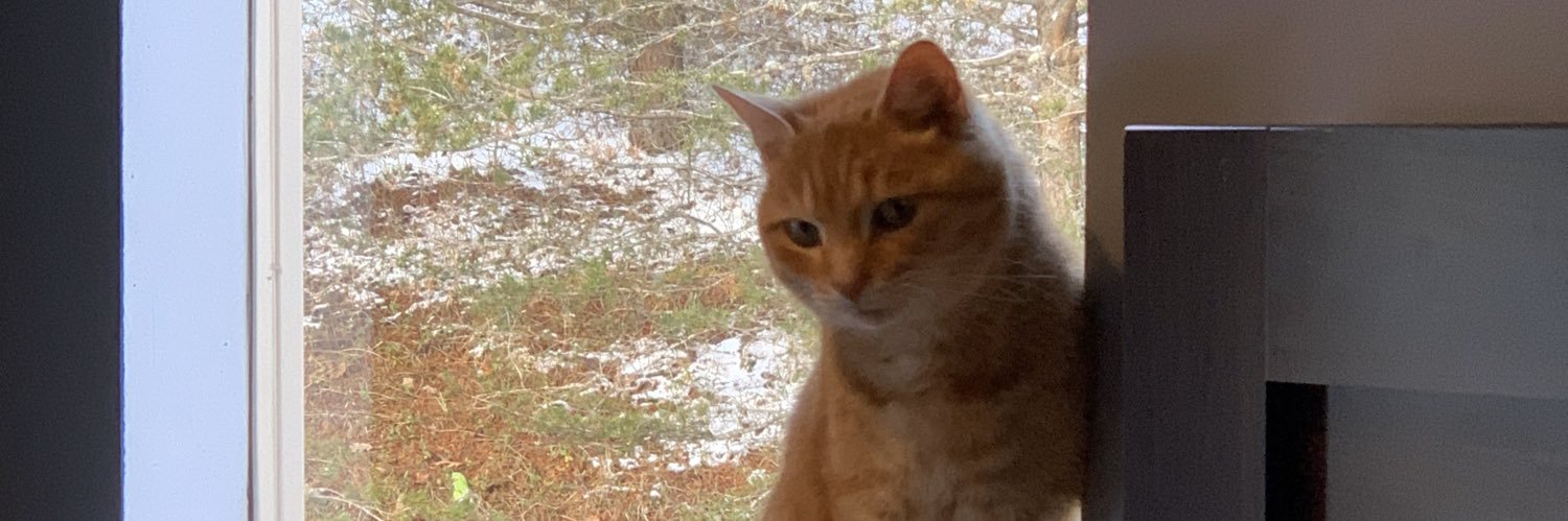 bigbrogordo's profile banner image