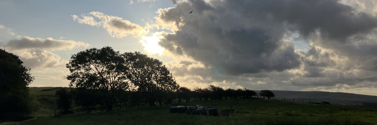 deborahcollcut1's profile banner image