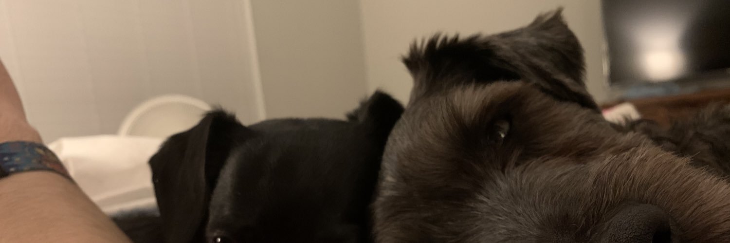 allyfinch's profile banner image