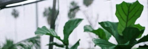 Cloude_Guardian's profile banner image