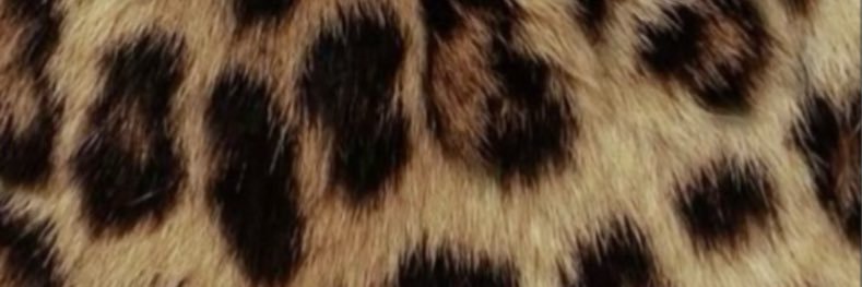 JaeeFizzz's profile banner image