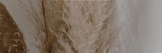 phaedrraaa's profile banner image