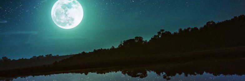 AntRacksx's profile banner image