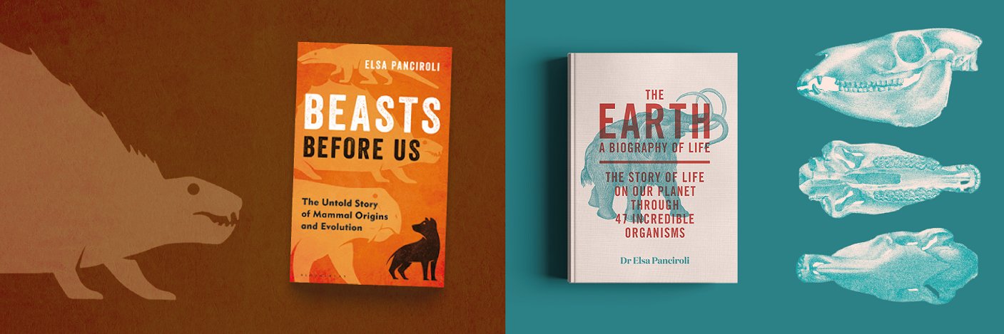 Dr Elsa Panciroli banner