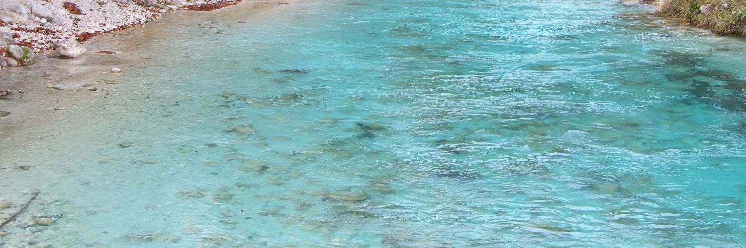 Tanja's banner