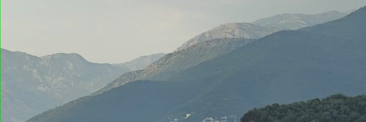 MAAlobaidan's profile banner image