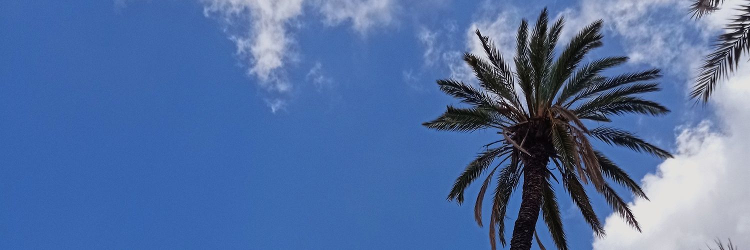 Lari_YT's profile banner image