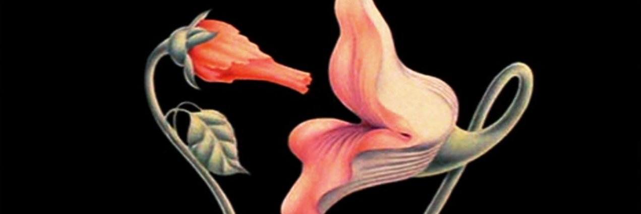 Dan Trudeau 🎶 🍁 banner