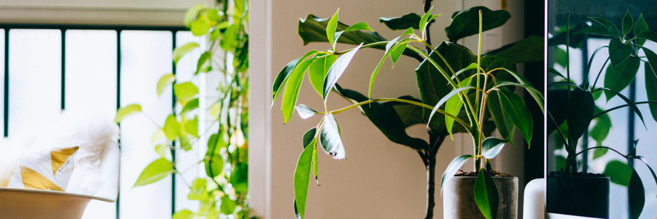 TomerKappcn's profile banner image