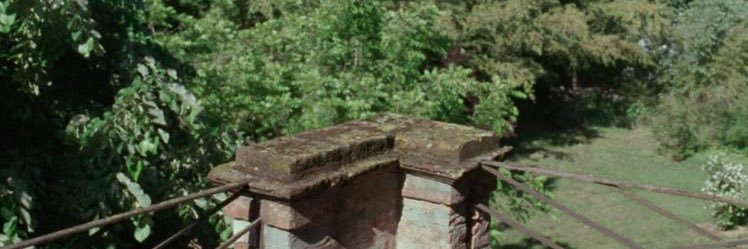 tchalfilms's profile banner image
