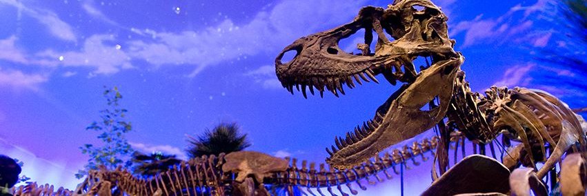 The Children's Museum banner