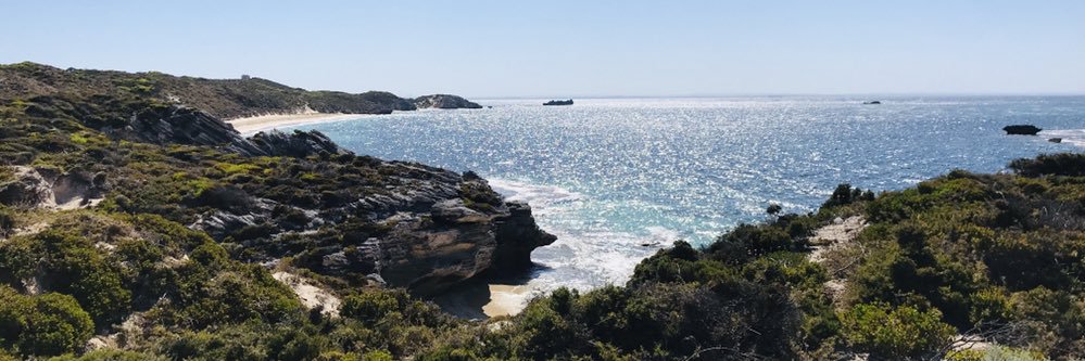 stephan weber banner