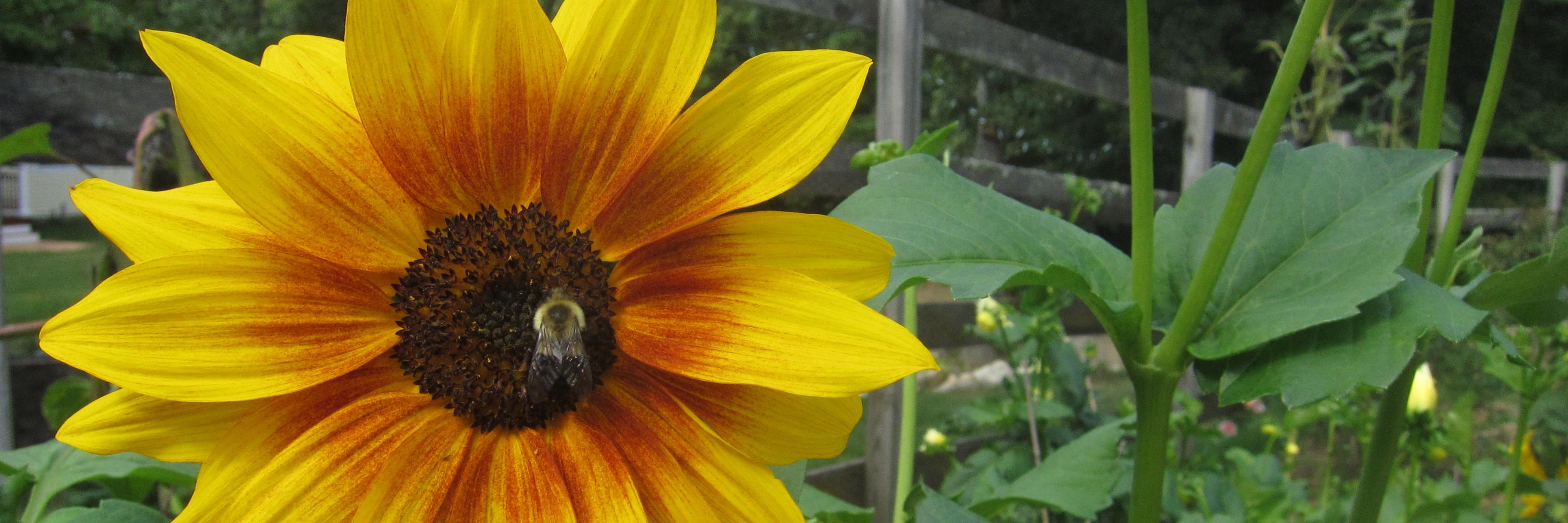 LaurieRay11's profile banner image