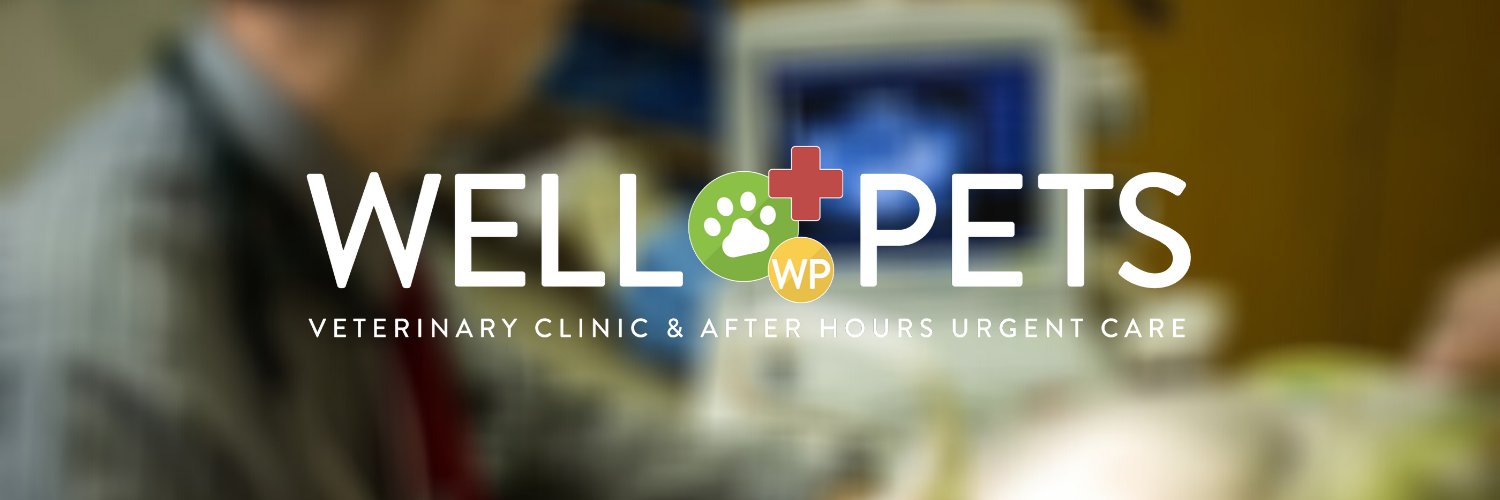 WellPetsSC's profile banner image