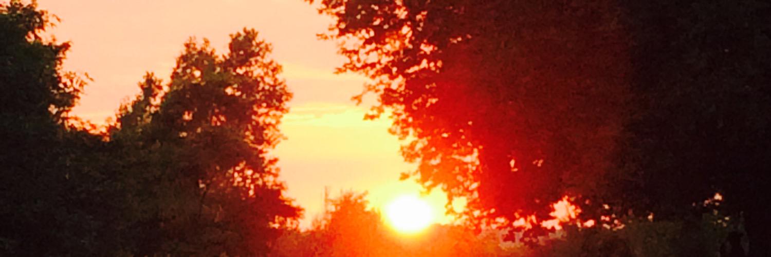 MaryellenPoll14's profile banner image