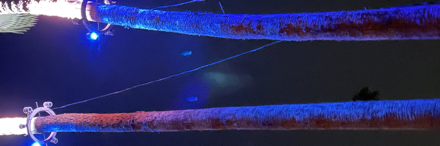 _zgrom's profile banner image