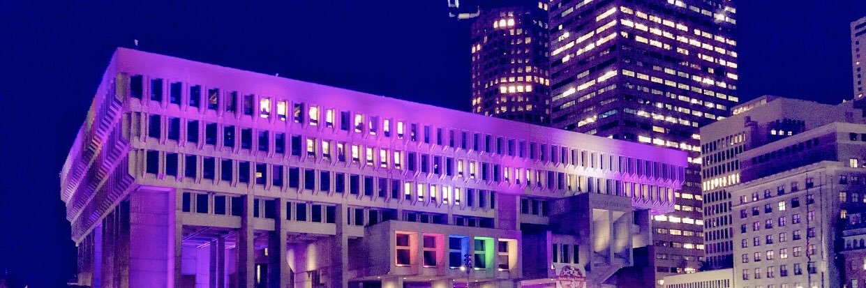 Boston City Hall banner