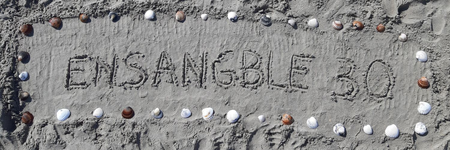 ensangble30 banner