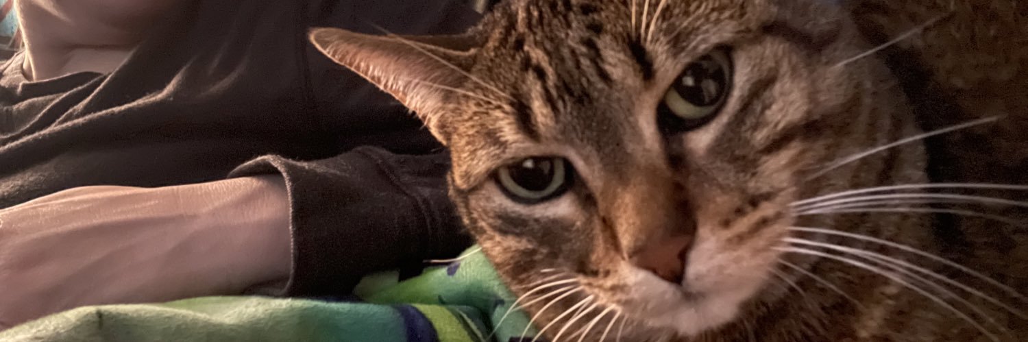 cantsaythat's profile banner image