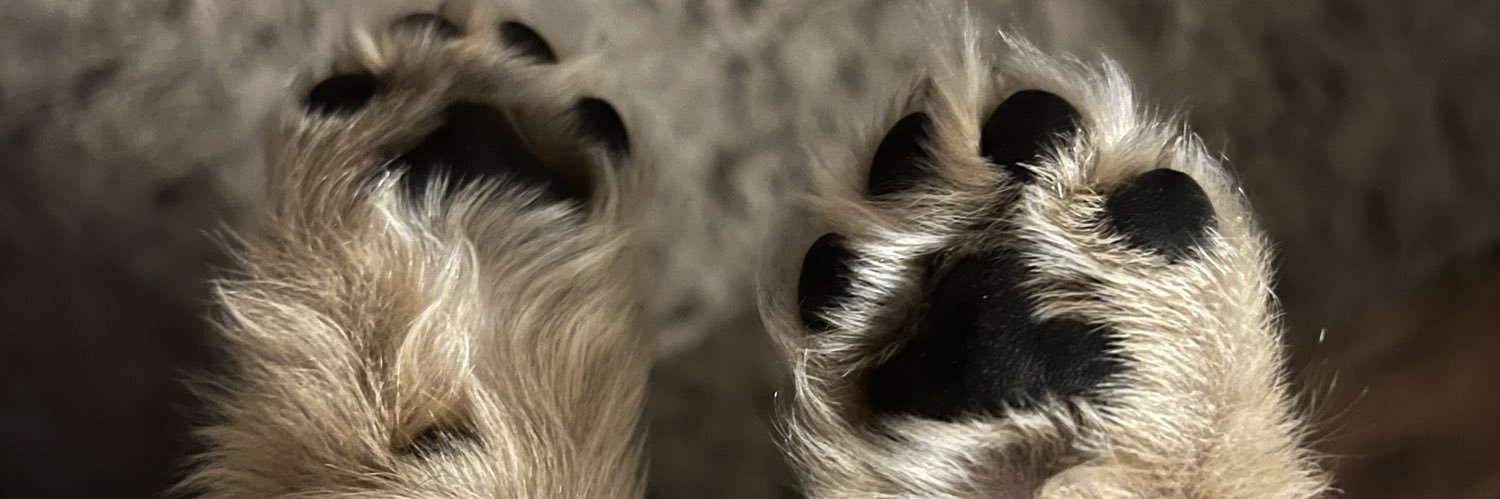 Mo♋️ banner