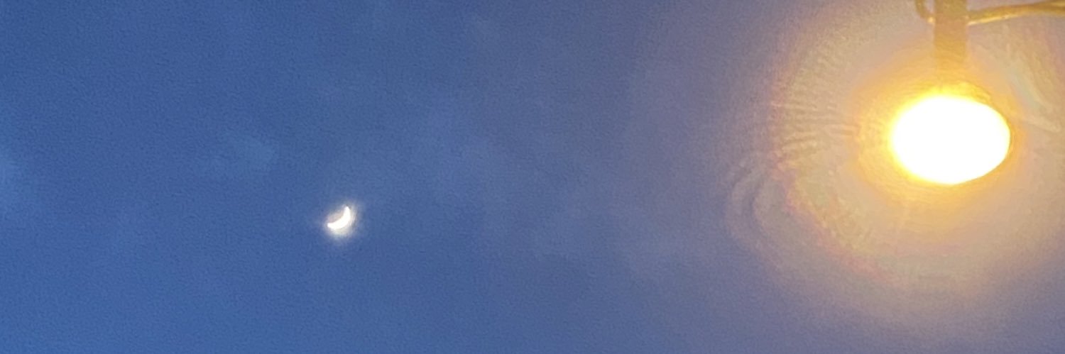 everobertson294's profile banner image