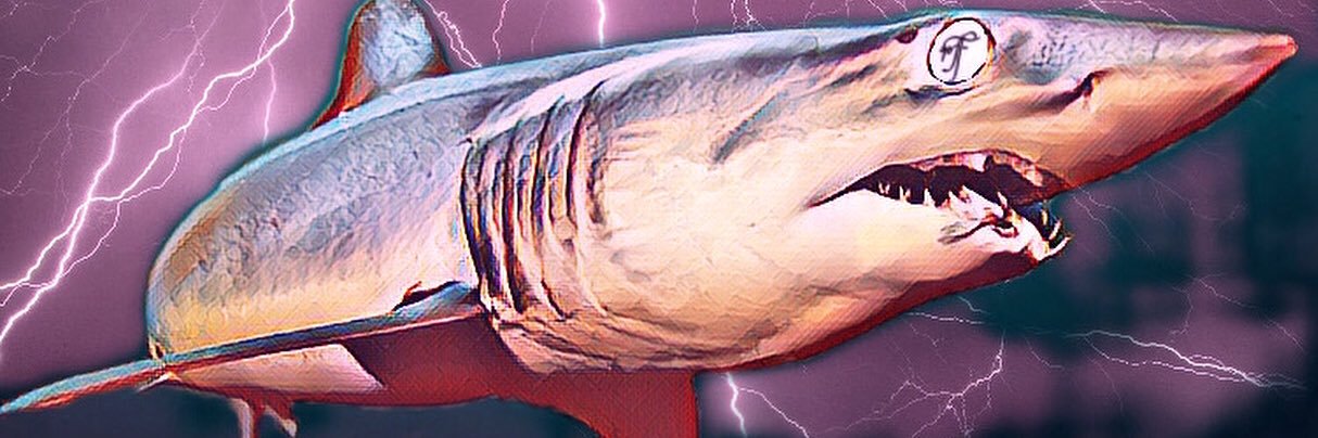40ThievesFishin's profile banner image